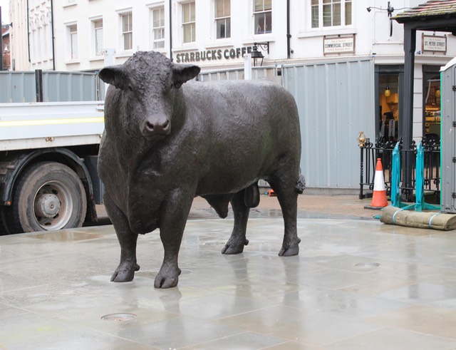 bronze bull