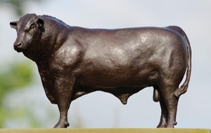 Small Hereford bull bronze